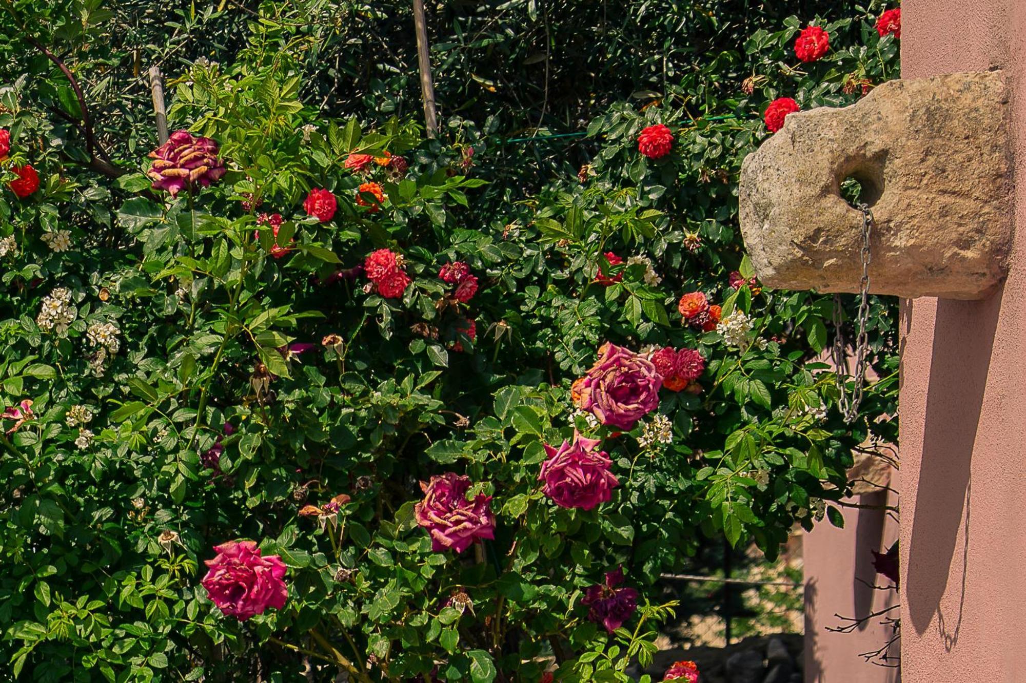 Villa Virginia ラグーザ エクステリア 写真